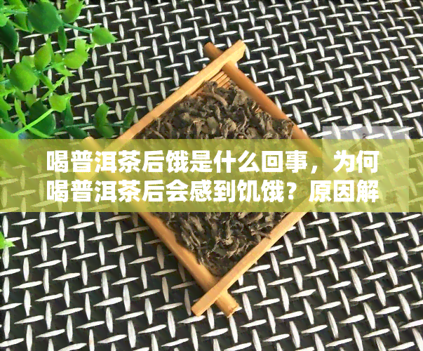 喝普洱茶后饿是什么回事，为何喝普洱茶后会感到饥饿？原因解析