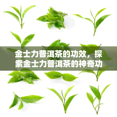 金士力普洱茶的功效，探索金士力普洱茶的神奇功效，让你的身体感受健的变化！