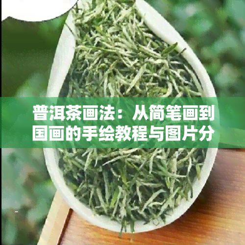 普洱茶画法：从简笔画到国画的手绘教程与图片分享