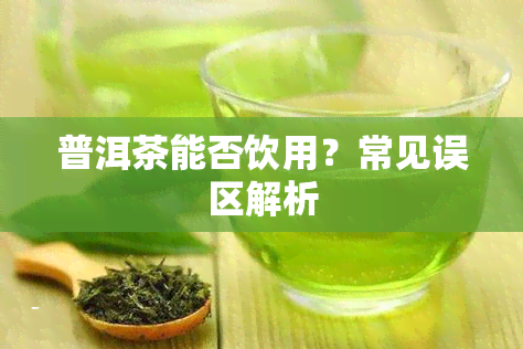 普洱茶能否饮用？常见误区解析