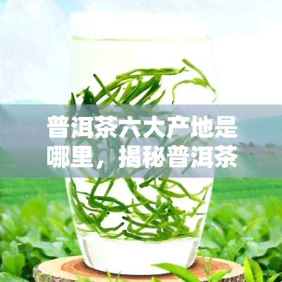 普洱茶六大产地是哪里，揭秘普洱茶六大产地，带你品味不一样的茶香世界！