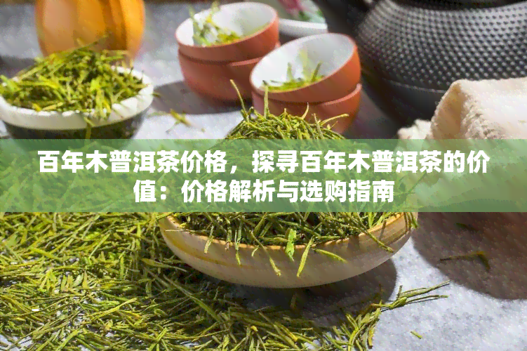 百年木普洱茶价格，探寻百年木普洱茶的价值：价格解析与选购指南