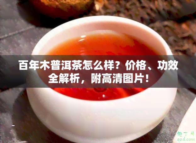 百年木普洱茶怎么样？价格、功效全解析，附高清图片！