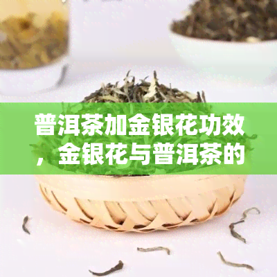 普洱茶加金银花功效，金银花与普洱茶的完美搭配：养生新宠，你不可不知！