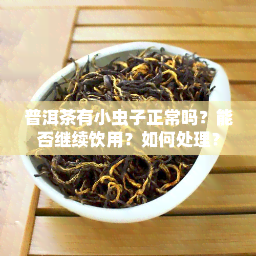 普洱茶有小虫子正常吗？能否继续饮用？如何处理？