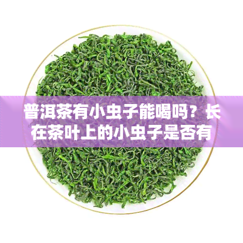 普洱茶有小虫子能喝吗？长在茶叶上的小虫子是否有？