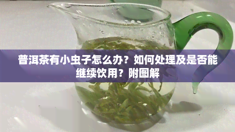 普洱茶有小虫子怎么办？如何处理及是否能继续饮用？附图解