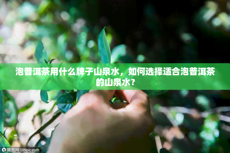 泡普洱茶用什么牌子山泉水，如何选择适合泡普洱茶的山泉水？