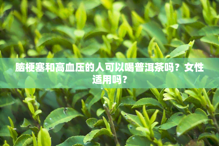 脑梗塞和高血压的人可以喝普洱茶吗？女性适用吗？