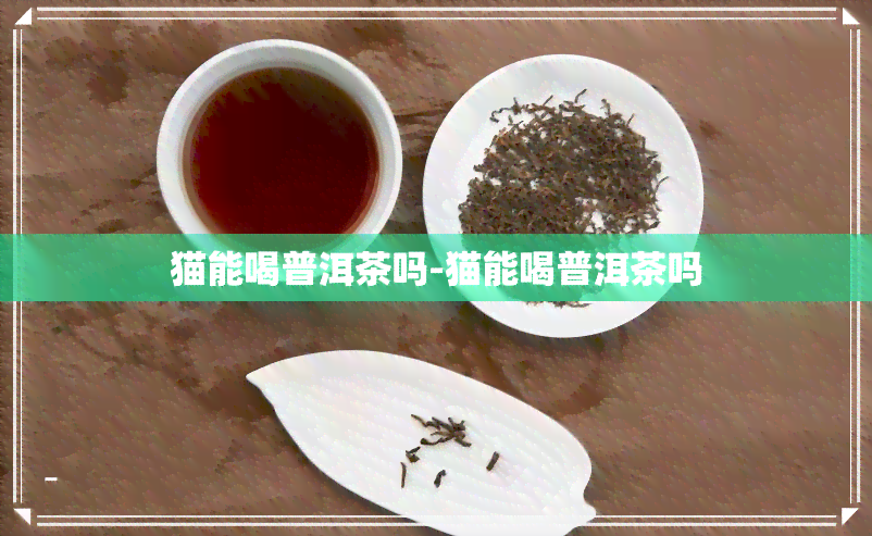 猫能喝普洱茶吗-猫能喝普洱茶吗