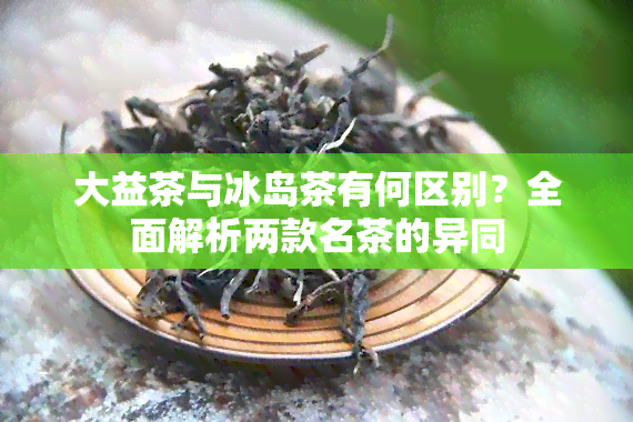 大益茶与冰岛茶有何区别？全面解析两款名茶的异同