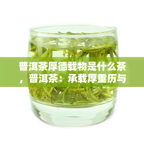 普洱茶厚德载物是什么茶，普洱茶：承载厚重历与人文精神的茶中瑰宝