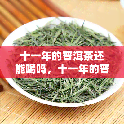 十一年的普洱茶还能喝吗，十一年的普洱茶：是否还能饮用？