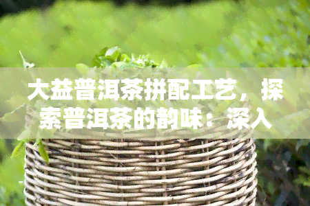 大益普洱茶拼配工艺，探索普洱茶的韵味：深入了解大益普洱茶拼配工艺