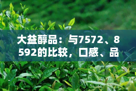 大益醇品：与7572、8592的比较，口感、品质全方位解析，是否值得购买？