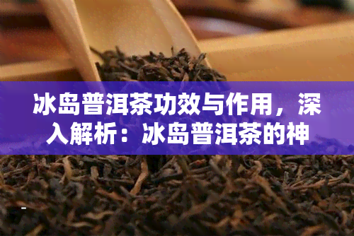 冰岛普洱茶功效与作用，深入解析：冰岛普洱茶的神奇功效与作用