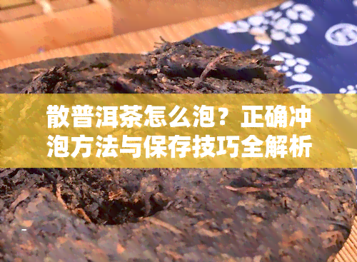 散普洱茶怎么泡？正确冲泡方法与保存技巧全解析