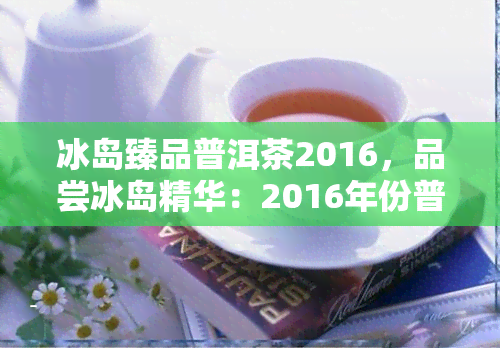 冰岛臻品普洱茶2016，品尝冰岛精华：2016年份普洱茶