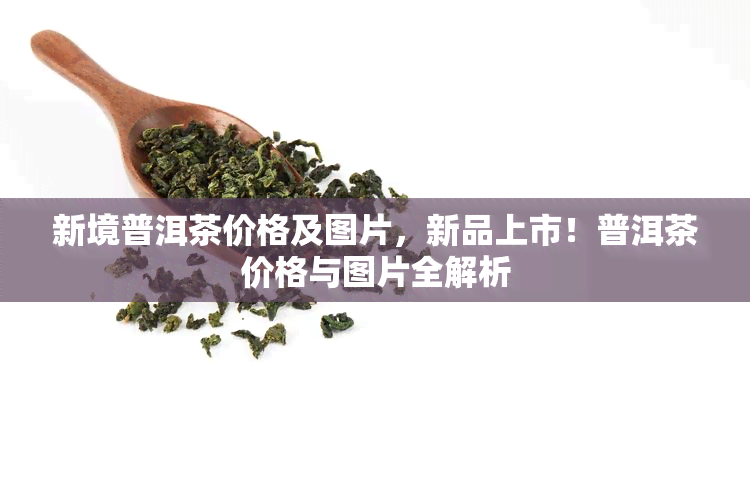 新境普洱茶价格及图片，新品上市！普洱茶价格与图片全解析