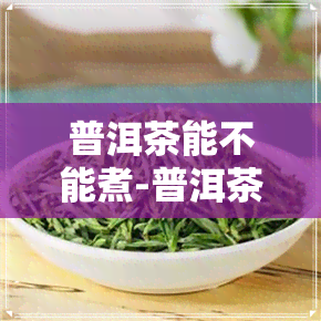 普洱茶能不能煮-普洱茶能不能煮着喝