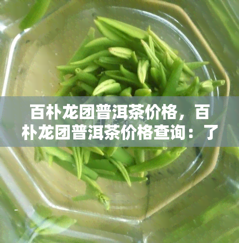 百朴龙团普洱茶价格，百朴龙团普洱茶价格查询：了解市场价格与价值