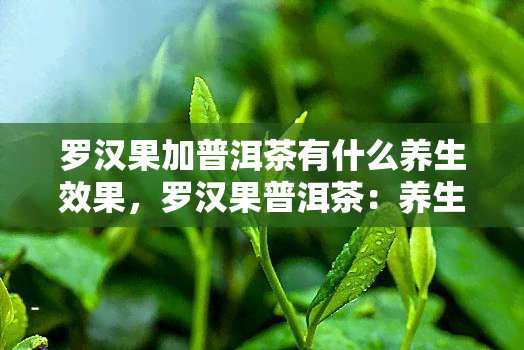 罗汉果加普洱茶有什么养生效果，罗汉果普洱茶：养生新宠，双重功效！