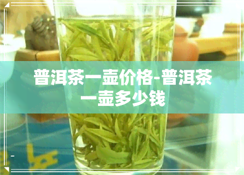 普洱茶一壶价格-普洱茶一壶多少钱