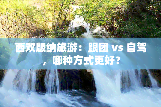 西双版纳旅游：跟团 vs 自驾，哪种方式更好？