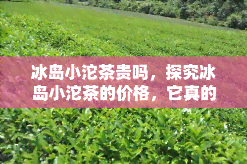 冰岛小沱茶贵吗，探究冰岛小沱茶的价格，它真的贵吗？