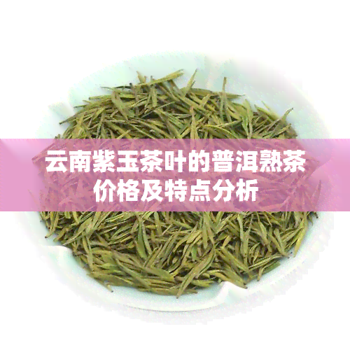 云南紫玉茶叶的普洱熟茶价格及特点分析