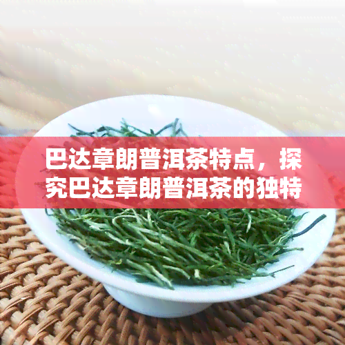 巴达章朗普洱茶特点，探究巴达章朗普洱茶的独特魅力与特点