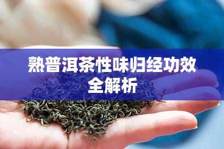 熟普洱茶性味归经功效全解析