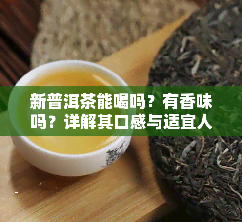 新普洱茶能喝吗？有香味吗？详解其口感与适宜人群