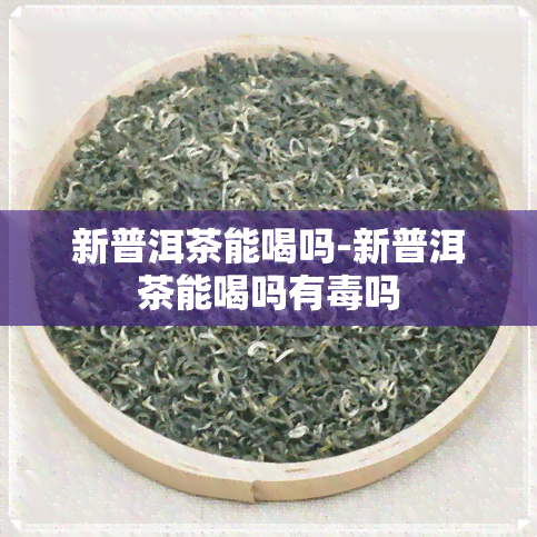 新普洱茶能喝吗-新普洱茶能喝吗有吗