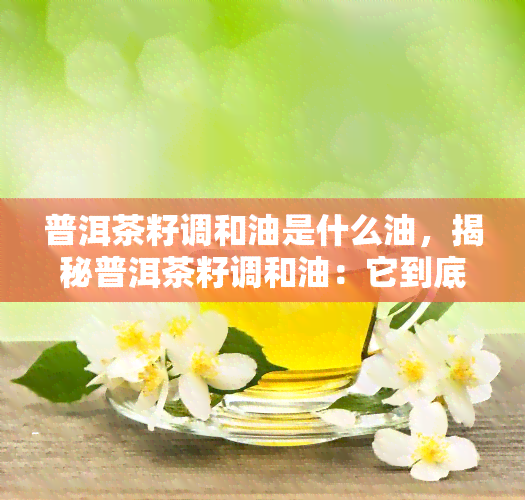 普洱茶籽调和油是什么油，揭秘普洱茶籽调和油：它到底是一种什么油？