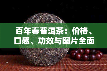 百年春普洱茶：价格、口感、功效与图片全面解析