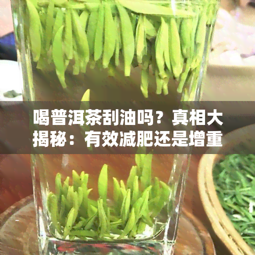 喝普洱茶刮油吗？真相大揭秘：有效减肥还是增重风险？