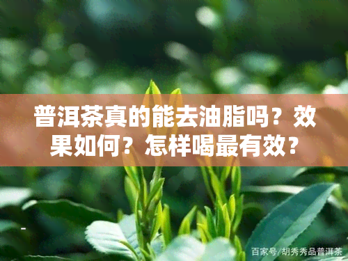 普洱茶真的能去油脂吗？效果如何？怎样喝最有效？