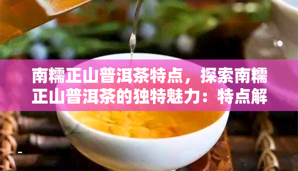 南糯正山普洱茶特点，探索南糯正山普洱茶的独特魅力：特点解析