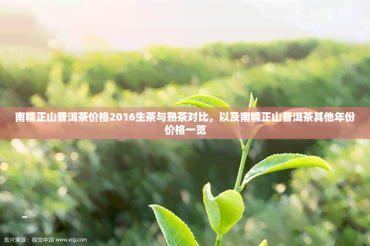 南糯正山普洱茶价格2016生茶与熟茶对比，以及南糯正山普洱茶其他年份价格一览