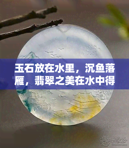 玉石放在水里，沉鱼落雁，翡翠之美在水中得以完美展现——玉石放入水中的视觉盛宴