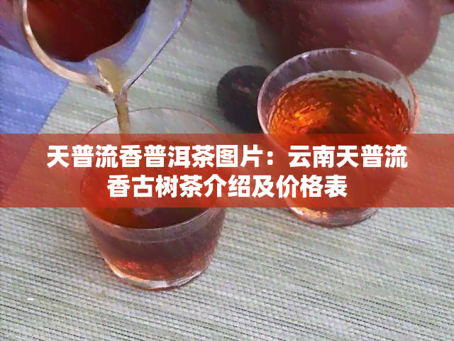 天普流香普洱茶图片：云南天普流香古树茶介绍及价格表