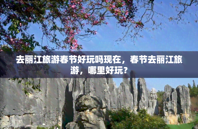 去丽江旅游春节好玩吗现在，春节去丽江旅游，哪里好玩？