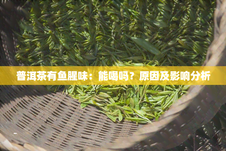 普洱茶有鱼腥味：能喝吗？原因及影响分析