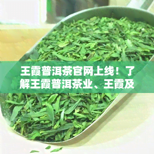 王霞普洱茶官网上线！了解王霞普洱茶业、王霞及其产品价格（9592/9532）、云南普洱茶名人王霞等信息。