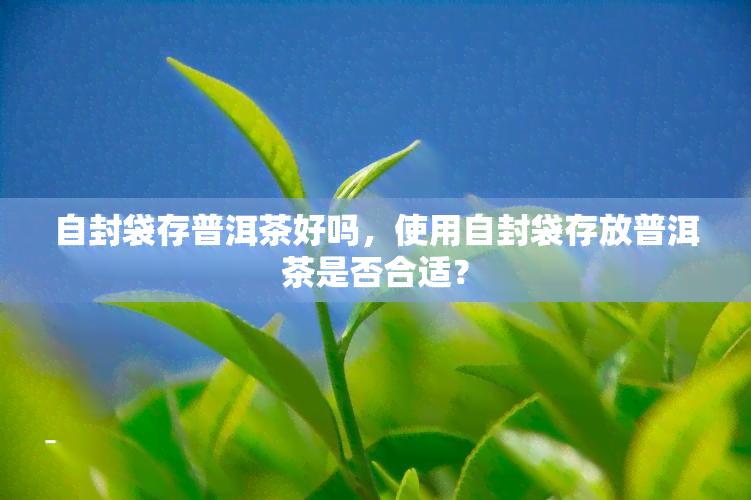 自封袋存普洱茶好吗，使用自封袋存放普洱茶是否合适？