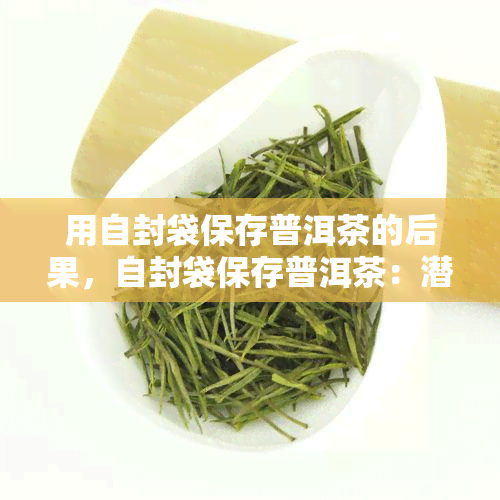 用自封袋保存普洱茶的后果，自封袋保存普洱茶：潜在的后果与替代方案