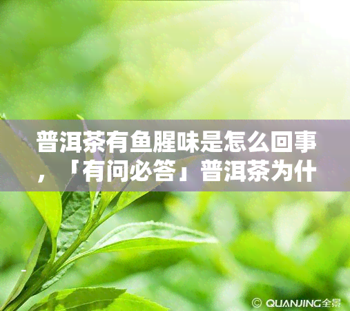 普洱茶有鱼腥味是怎么回事，「有问必答」普洱茶为什么会有鱼腥味？