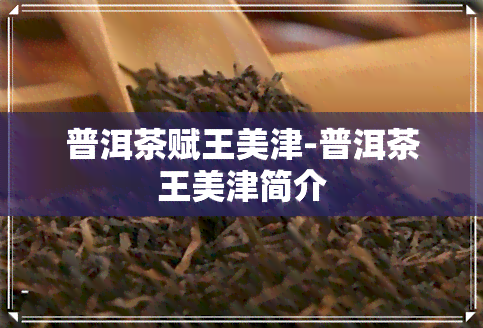 普洱茶赋王美津-普洱茶王美津简介