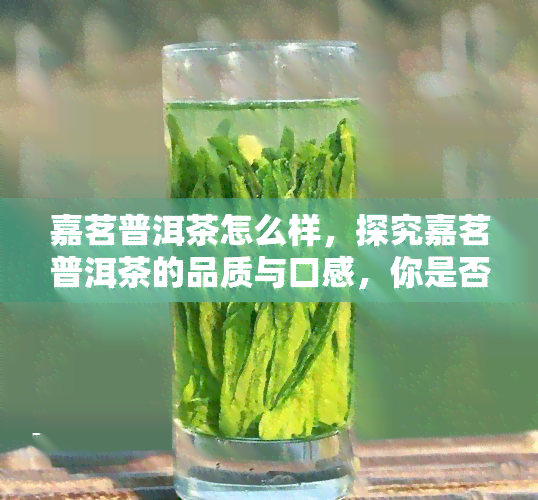 嘉茗普洱茶怎么样，探究嘉茗普洱茶的品质与口感，你是否也爱上了这款茶叶？